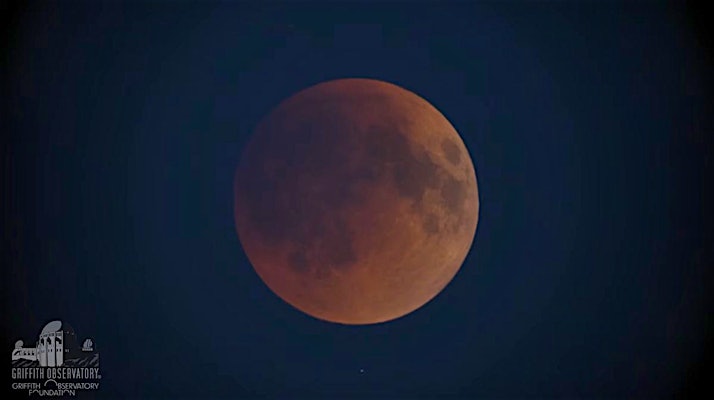 See the First Super Flower Blood Moon Photos From May's Total Lunar Eclipse