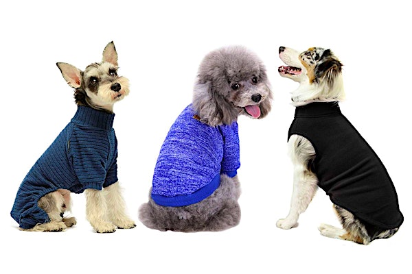 9 Dog Sweaters Amazon Shoppers Love for Keeping Their Pups Warm  —  Starting at $10